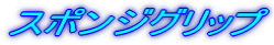 �X�|���W�O���b�v